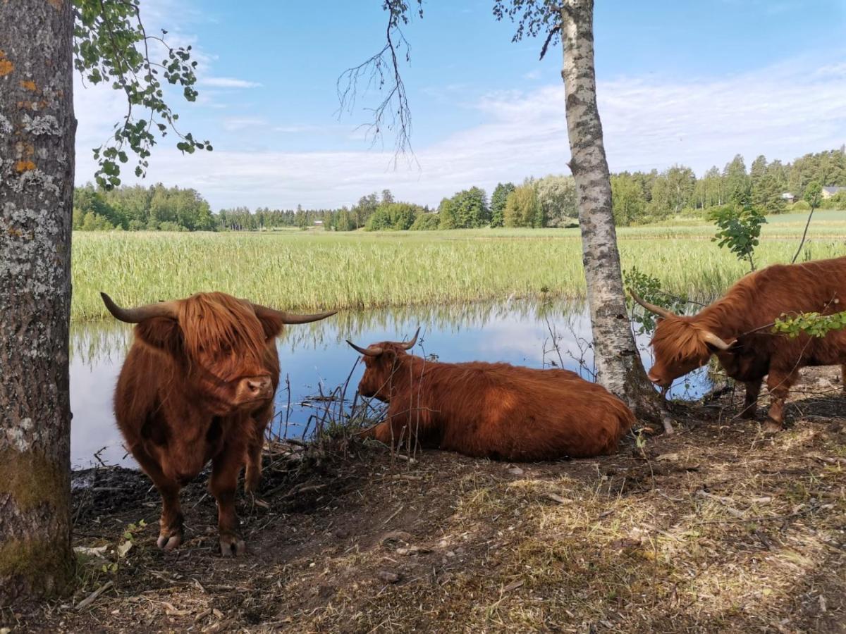 Isotalo Farm At Enaejaervi Lake 살로 외부 사진